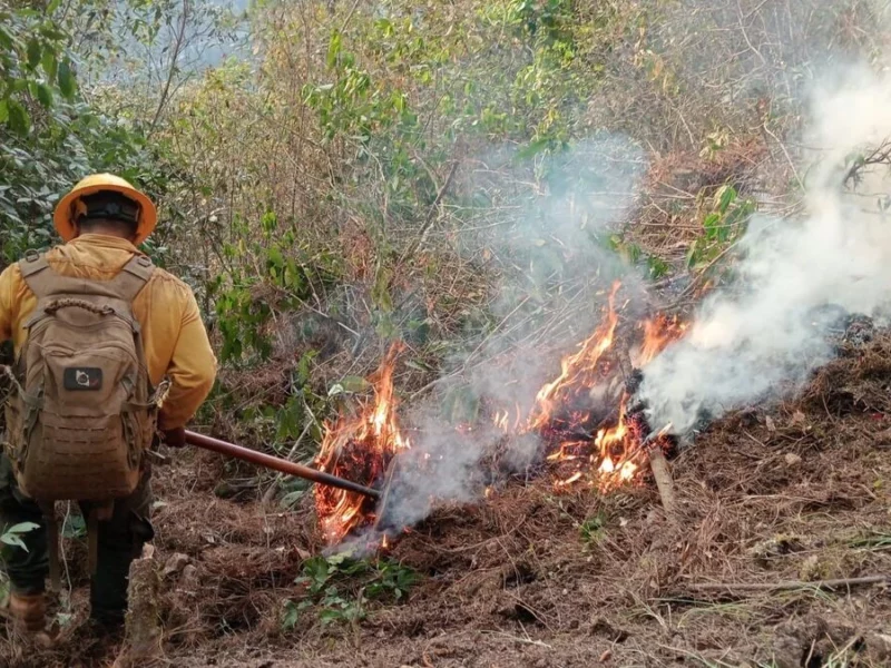 Queda liquidado el incendio forestal en Zacatlán tras una semana activo  