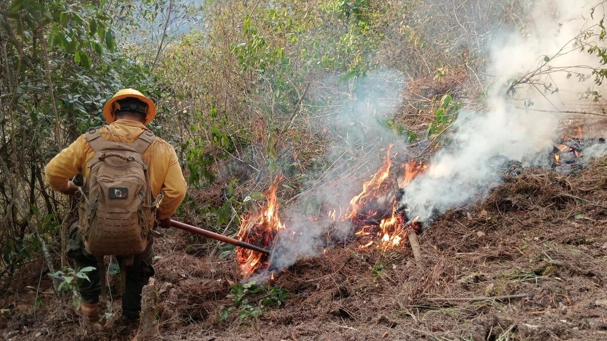 Queda liquidado el incendio forestal en Zacatlán tras una semana activo  