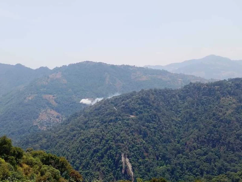 Ahora hay incendios forestales activos en Amozoc y Zacatlán