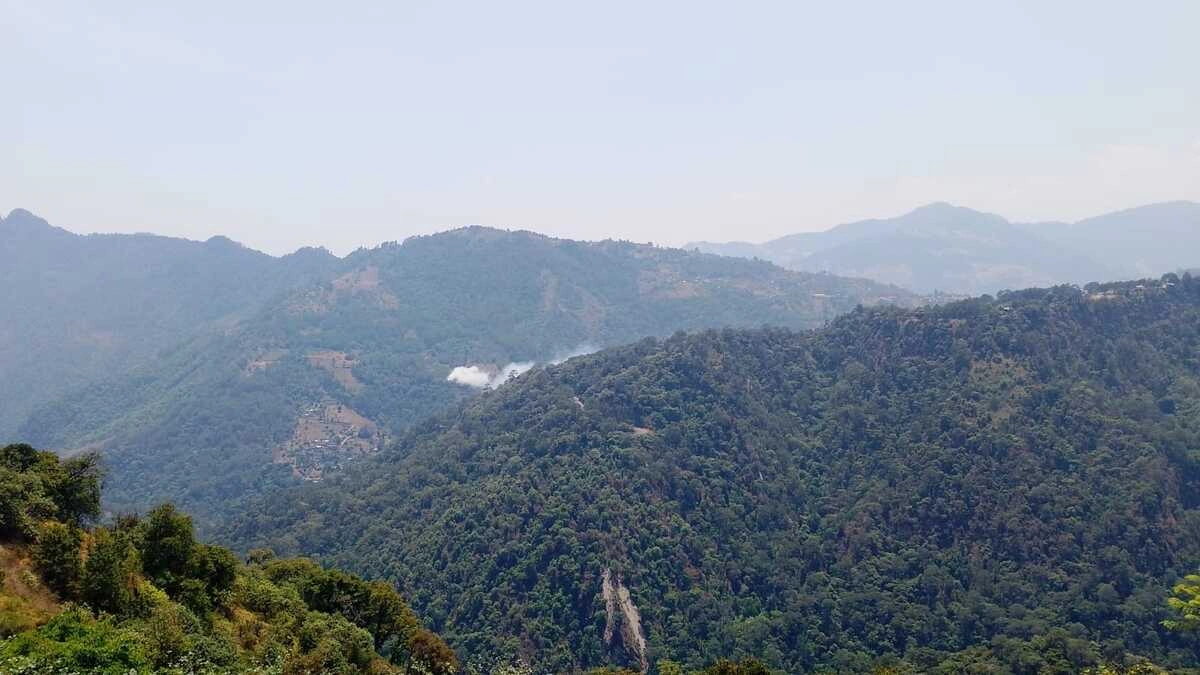 Ahora hay incendios forestales activos en Amozoc y Zacatlán