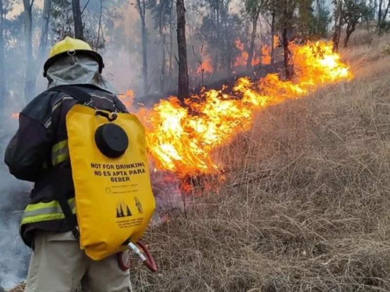 Continúan las labores para sofocar los cuatro incendios forestales en Puebla