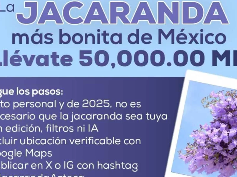 Gana hasta 50 mil pesos por fotografiar a la Jacaranda más Bonita de México 