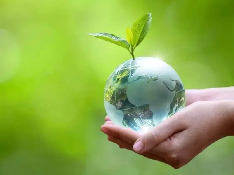 ¿Por qué es importante el Día Internacional de la Madre Tierra?  