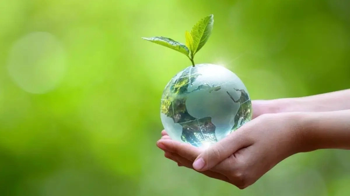 ¿Por qué es importante el Día Internacional de la Madre Tierra?  