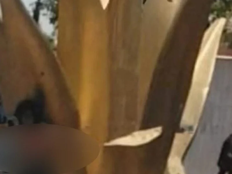 Por robar, amarran a un hombre al maguey de Misiones de San Francisco