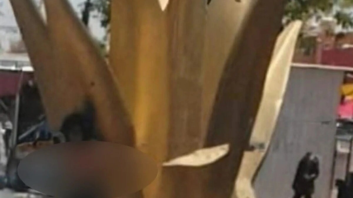 Por robar, amarran a un hombre al maguey de Misiones de San Francisco
