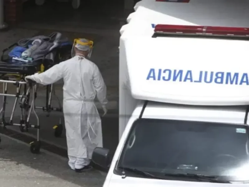 Se registra en México la primera muerte humana por influenza aviar 