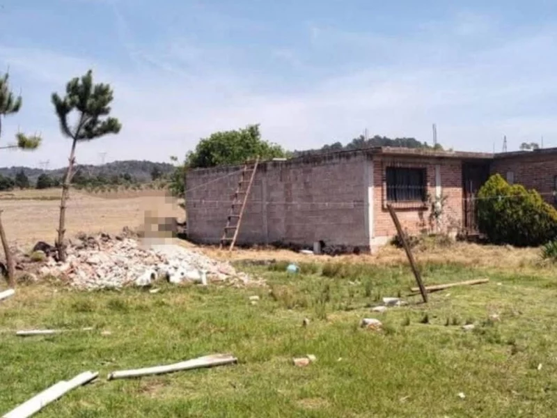 Hallan perro ahorcado en Zacatlán; animalistas presentan denuncia  