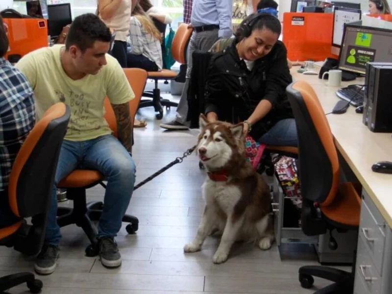 Es oficial, Puebla tiene su primera secretaría de gobierno “pet friendly”