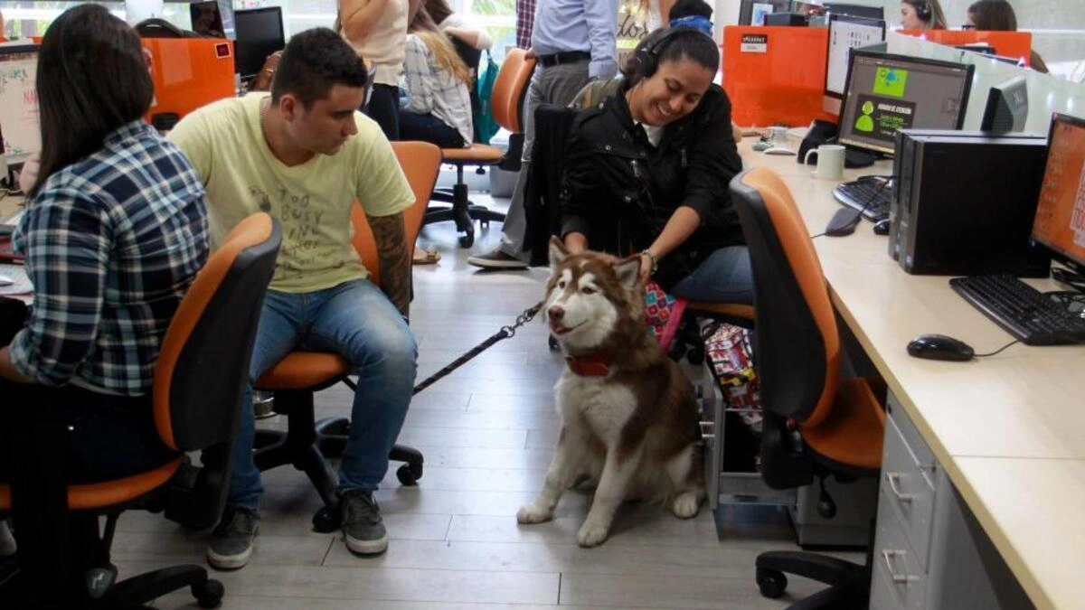 Es oficial, Puebla tiene su primera secretaría de gobierno “pet friendly”