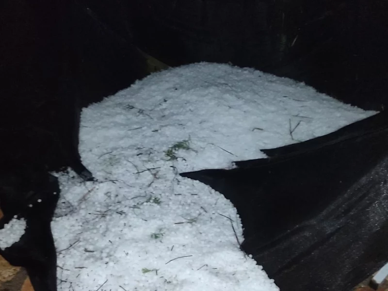 FOTOS: Fuerte tromba con granizo azota a Tochtepec