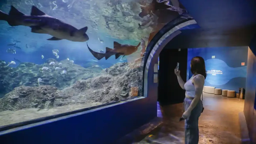 Mujer recorriendo el Acuario Michin de Puebla.