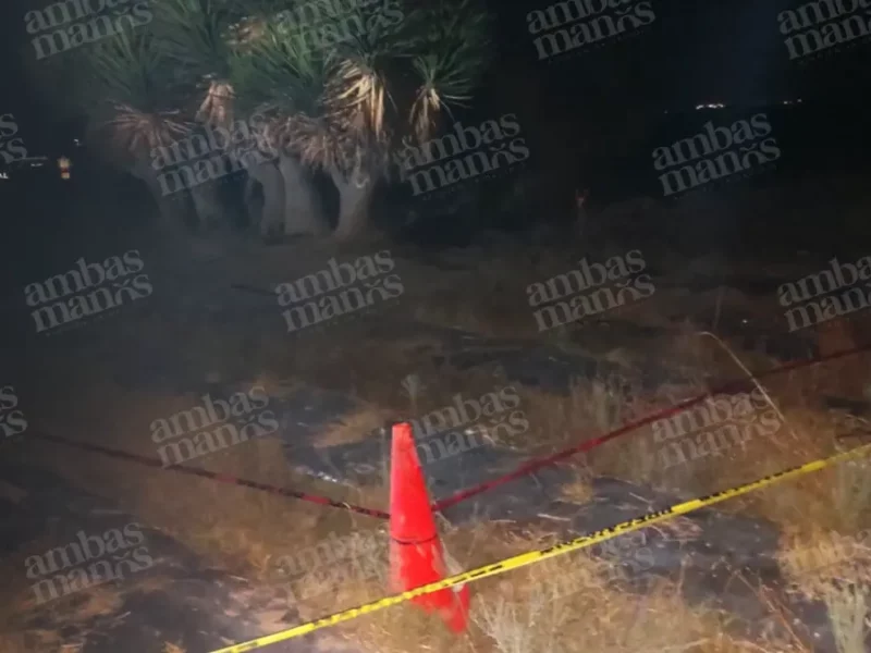 Hallan fosa clandestina en Palmar de Bravo