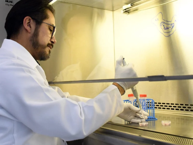 El Instituto de Fisiología estudia la relación estructura-función en las células cardiacas