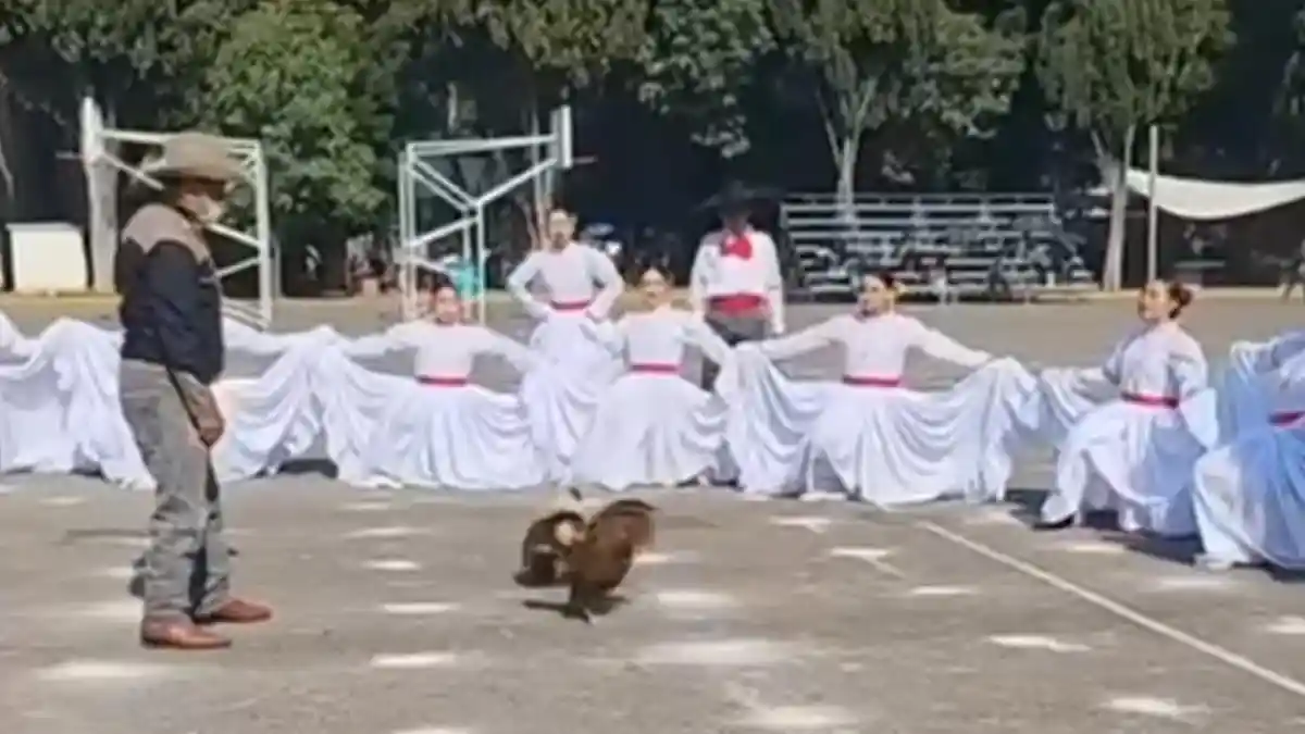 Tunden al Cenhch por hacer pelea de gallos en festival del Día de las Madres.