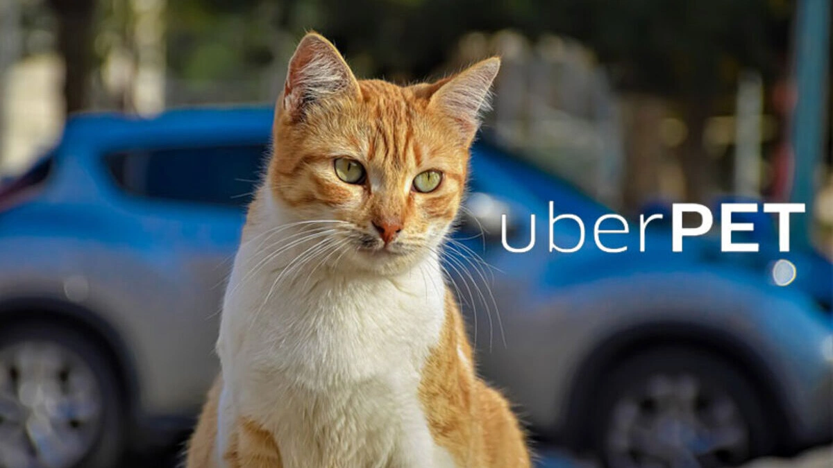 Ya está disponible Uber Pet en Puebla; lleva tu mascota a donde quieras  