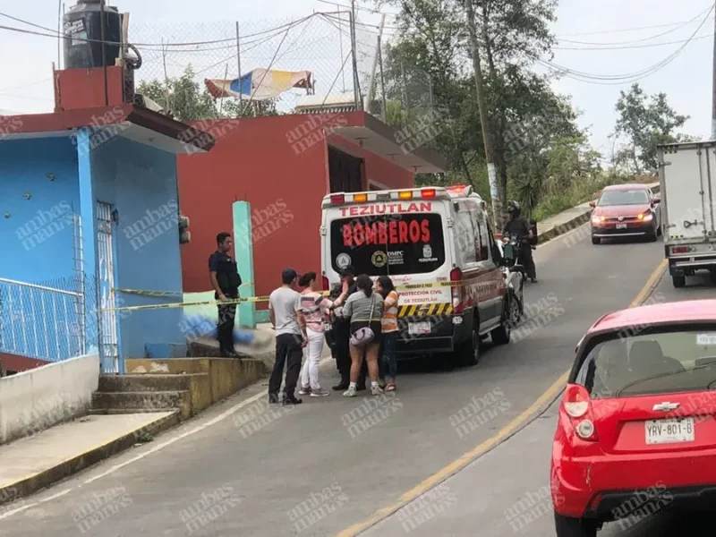 Ataques de abejas en Puebla dejan un muerto y un herido  