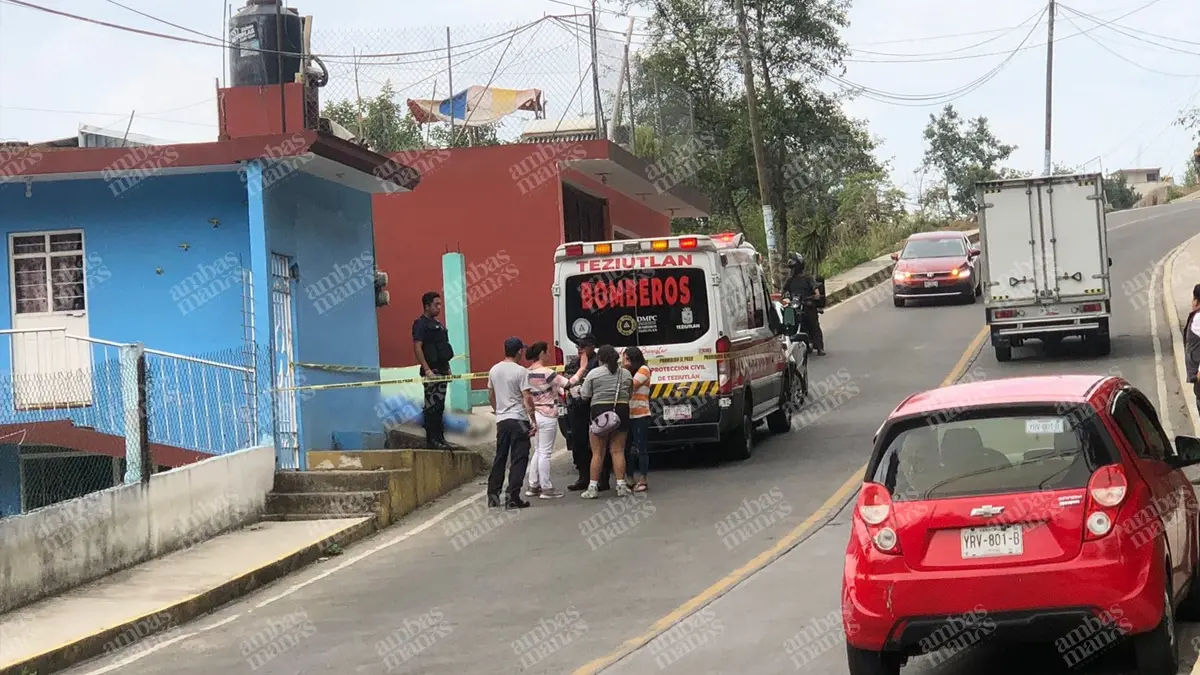 Ataques de abejas en Puebla dejan un muerto y un herido  