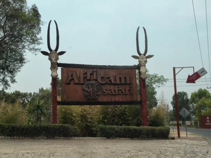 Anuncian rehabilitación de los accesos a Africam Safari y Cuautinchán