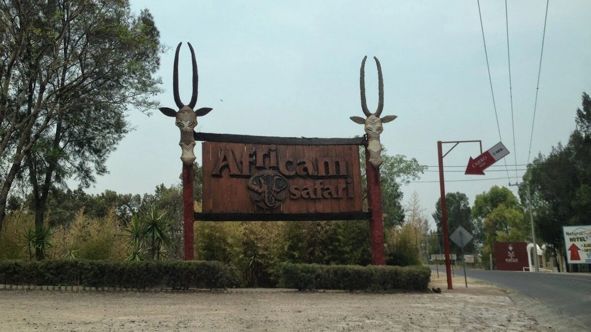 Anuncian rehabilitación de los accesos a Africam Safari y Cuautinchán