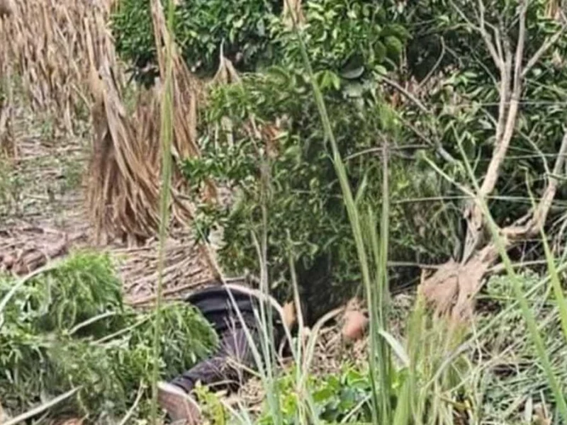 Durante un violento asalto, delincuentes emboscaron a dos trabajadores de la empresa cervecera Corona en el municipio de Ayotoxco de Guerrero; mataron a uno. El ataque en contra de los trabajadores ocurrió en los límites de Puebla y Veracruz sobre la carretera de El Cedral- Tenampulco. De acuerdo con el testimonio del sobreviviente al menos cinco hombres armados salieron de entre la maleza para detener la circulación de los trabajadores de la empresa cervecera Corona. Una vez que fueron detenidos, los criminales hirieron a los trabajadores y les robaron tanto el dinero que llevaban consigo como el producto, para después abandonarlos en la zona. Los afectados pidieron auxilio, siendo testigos que circulaban por la zona quienes los ayudaron, sin embargo, cuando los paramédicos llegaron uno de ellos, un joven de 22 años de edad, ya no contaba con signos vitales. Mientras que el otro trabajador identificado como Carlos N., de 40 años, fue llevado de manera inmediata a urgencias del hospital de Ayotoxco Guerrero para su atención. Ambas víctimas eran originarias de Puebla y regresaban a su punto base en Ayotoxco de Guerrero, hasta el momento se desconoce si el caso quedará en manos de la Fiscalía de Puebla o de Veracruz. Por su parte, la empresa cervecera Corona no ha dado una postura oficial de la situación por lo que tampoco se sabe si ya se puso una demanda y si se apoyará a los familiares de la víctima. Tampoco se sabe si la empresa está cubriendo los gastos médicos del trabajador herido de quién hasta el momento se desconoce su estado de salud. A inicios de mayo, ocurrió un intento de asalto a un trailero que circulaba en la autopista Puebla-Orizaba. Un hombre perdió la vida y, aunque primero se dijo que era el operador del tractocamión, luego surgió la versión de que en realidad era delincuente. Matan a trabajador de una cervecera durante un violento asalto en Ayotoxco