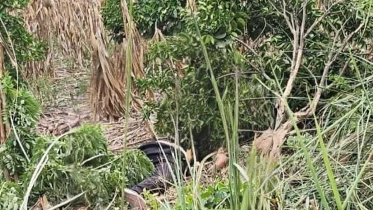 Durante un violento asalto, delincuentes emboscaron a dos trabajadores de la empresa cervecera Corona en el municipio de Ayotoxco de Guerrero; mataron a uno. El ataque en contra de los trabajadores ocurrió en los límites de Puebla y Veracruz sobre la carretera de El Cedral- Tenampulco. De acuerdo con el testimonio del sobreviviente al menos cinco hombres armados salieron de entre la maleza para detener la circulación de los trabajadores de la empresa cervecera Corona. Una vez que fueron detenidos, los criminales hirieron a los trabajadores y les robaron tanto el dinero que llevaban consigo como el producto, para después abandonarlos en la zona. Los afectados pidieron auxilio, siendo testigos que circulaban por la zona quienes los ayudaron, sin embargo, cuando los paramédicos llegaron uno de ellos, un joven de 22 años de edad, ya no contaba con signos vitales. Mientras que el otro trabajador identificado como Carlos N., de 40 años, fue llevado de manera inmediata a urgencias del hospital de Ayotoxco Guerrero para su atención. Ambas víctimas eran originarias de Puebla y regresaban a su punto base en Ayotoxco de Guerrero, hasta el momento se desconoce si el caso quedará en manos de la Fiscalía de Puebla o de Veracruz. Por su parte, la empresa cervecera Corona no ha dado una postura oficial de la situación por lo que tampoco se sabe si ya se puso una demanda y si se apoyará a los familiares de la víctima. Tampoco se sabe si la empresa está cubriendo los gastos médicos del trabajador herido de quién hasta el momento se desconoce su estado de salud. A inicios de mayo, ocurrió un intento de asalto a un trailero que circulaba en la autopista Puebla-Orizaba. Un hombre perdió la vida y, aunque primero se dijo que era el operador del tractocamión, luego surgió la versión de que en realidad era delincuente. Matan a trabajador de una cervecera durante un violento asalto en Ayotoxco
