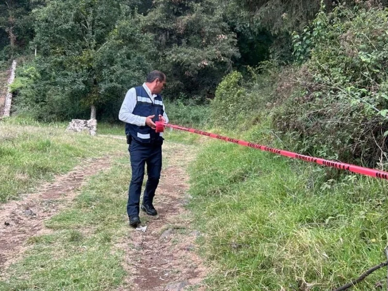 Otro ataque de abejas en Puebla: abuelito se debate entre la vida y la muerte 