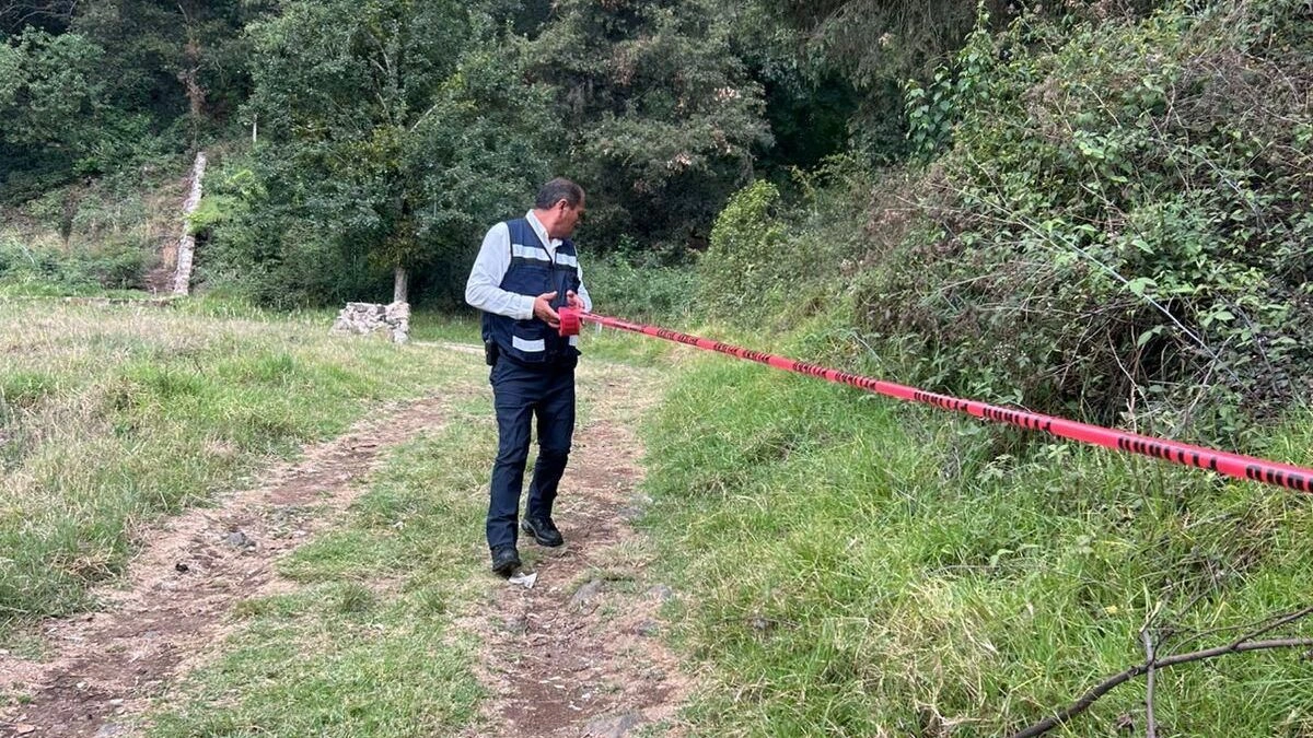 Otro ataque de abejas en Puebla: abuelito se debate entre la vida y la muerte 