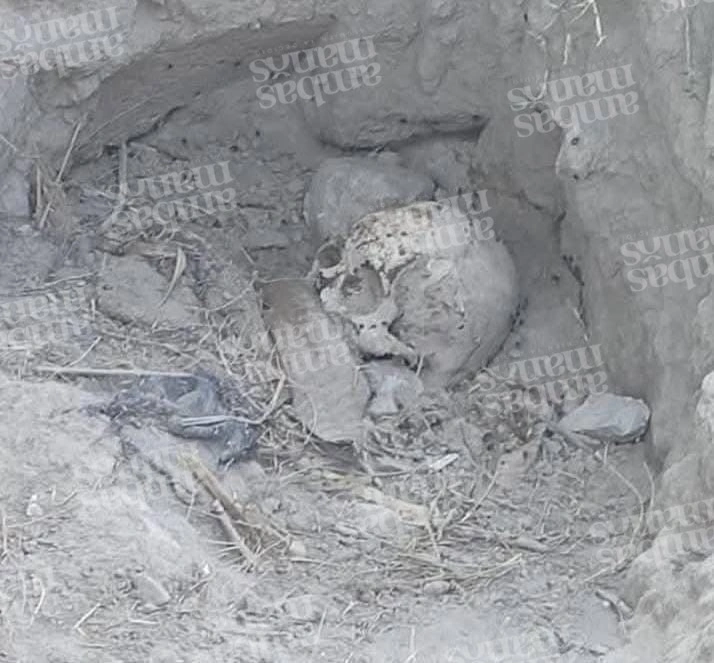 Un cráneo y un fragmento de mano se hallaron en la fosa de Palmar de Bravo.  