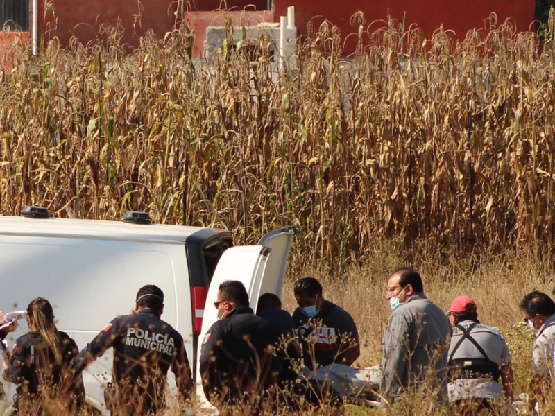 Calcinados, fosas y descuartizados: así va el recuento en Puebla