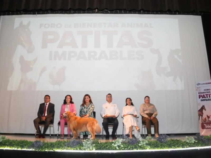 Por el bienestar animal el Gobierno de la Ciudad realizó el foro participativo "Patitas Imparables"