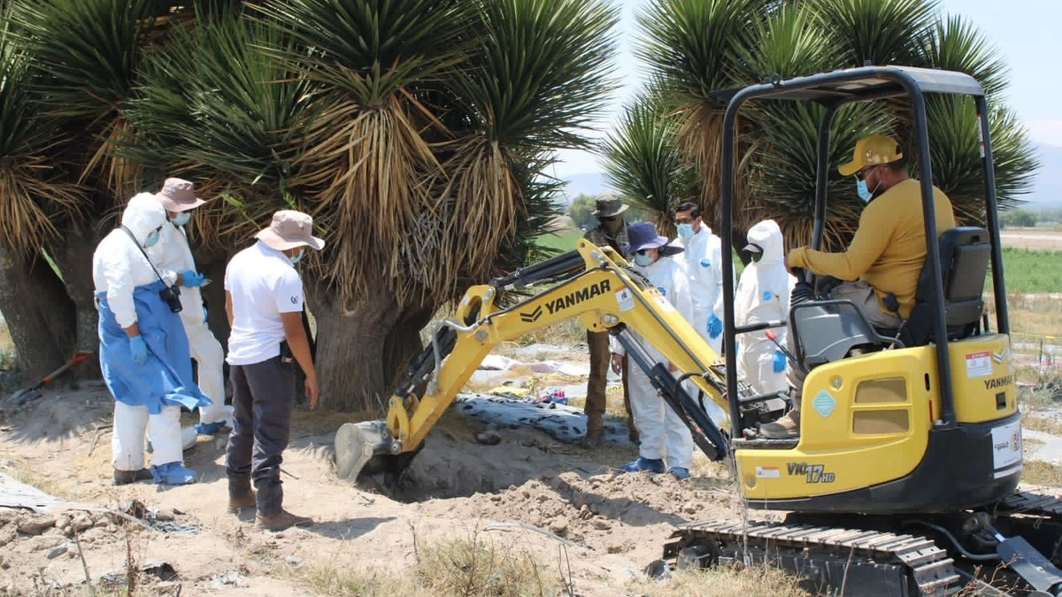 Un cráneo y una mano, los primeros restos hallados en fosa de Palmar de Bravo  