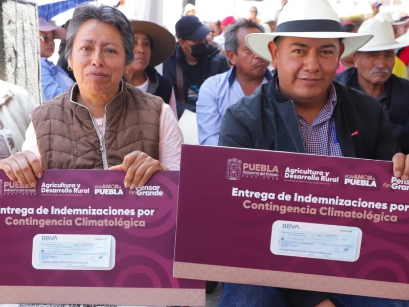 Gobierno de Puebla rescata economía de productores ante heladas atípicas en Chiautzingo