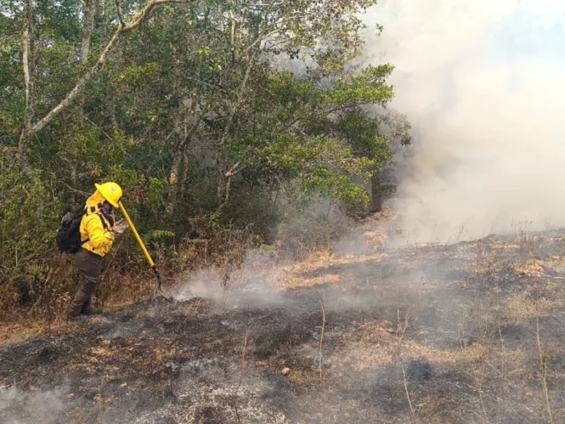 Pobladores de Coyomeapan impiden la liquidación del incendio forestal: Protección Civil