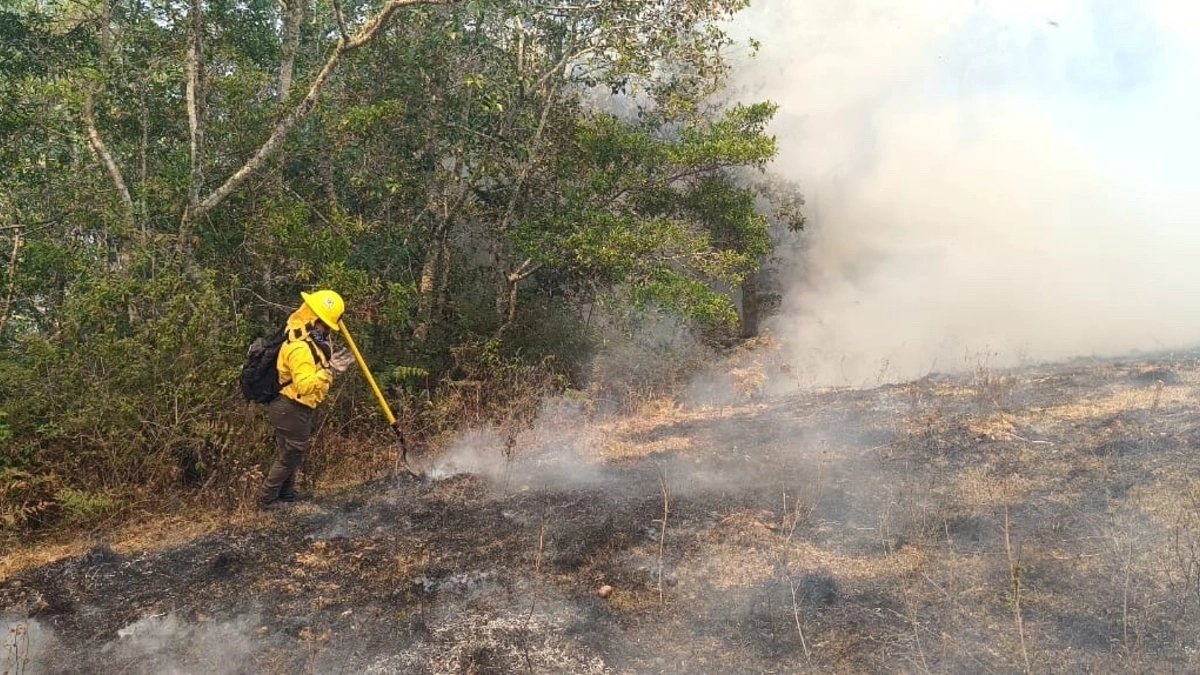 Pobladores de Coyomeapan impiden la liquidación del incendio forestal: Protección Civil
