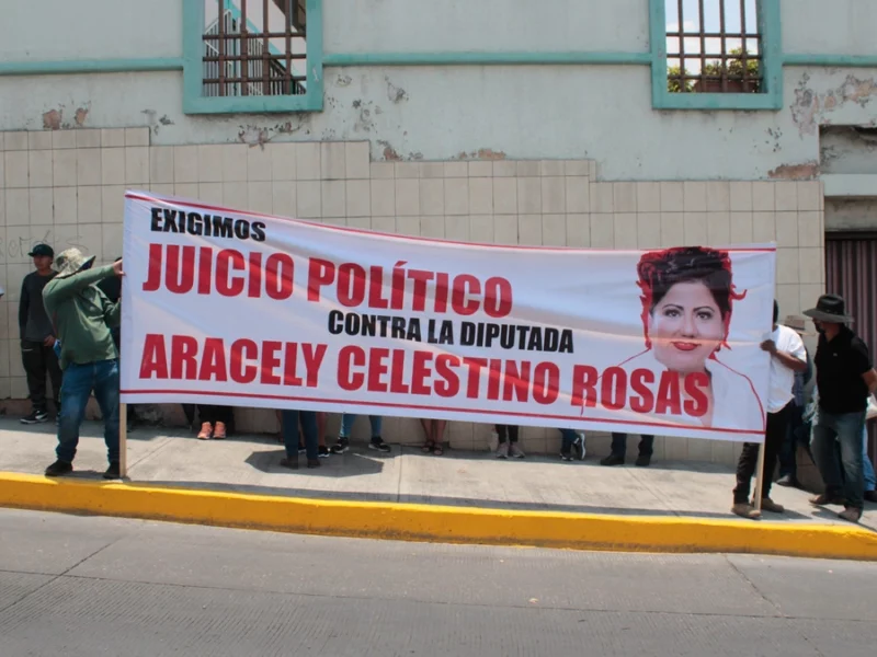 Piden juicio político contra diputada Araceli Celestino por caso Coyomeapan