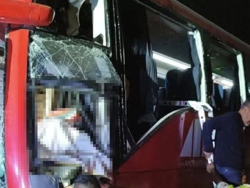 Autobús ADO salió de Puebla y chocó en Veracruz; hay un muerto y varios lesionados
