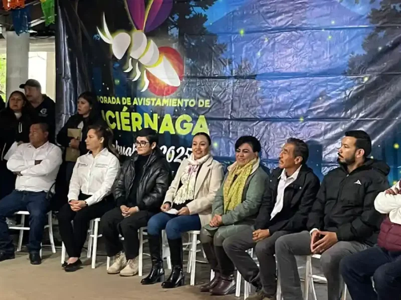 Noches mágicas: el espectáculo natural de luciérnagas ilumina Santa Rita Tlahuapan.