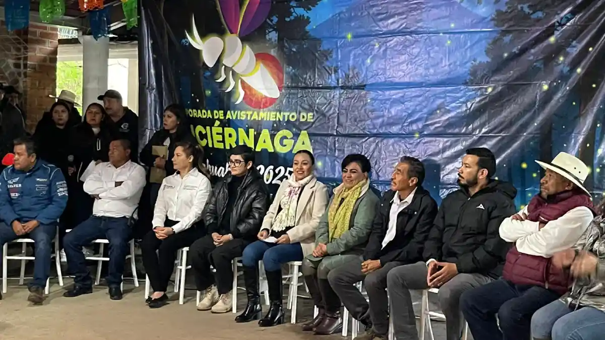 Noches mágicas: el espectáculo natural de luciérnagas ilumina Santa Rita Tlahuapan.