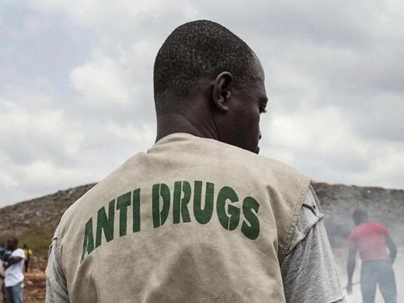 ¿Qué es el Día Internacional de la Lucha contra el Uso Indebido y el Tráfico Ilícito de Drogas? 