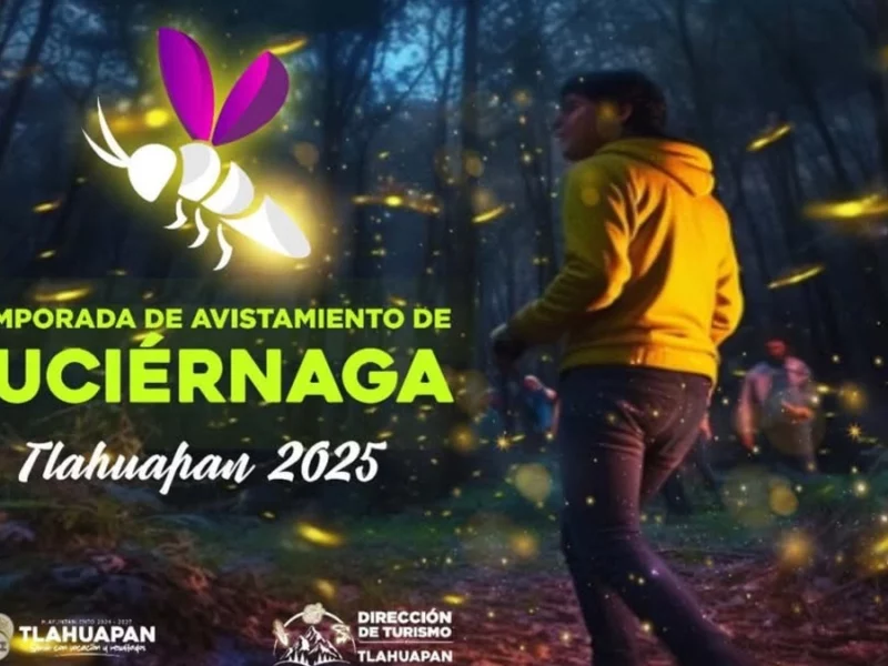 Avistamiento de luciérnagas en Santa Rita Tlahuapan: actividades, recorridos y más  