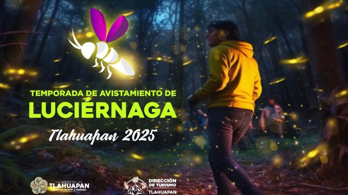 Avistamiento de luciérnagas en Santa Rita Tlahuapan: actividades, recorridos y más  