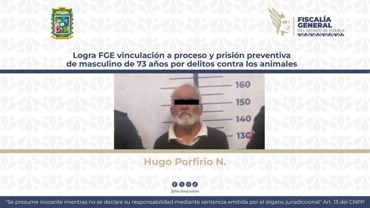 Abuelito agresivo de Los Héroes se queda en prisión por maltrato animal