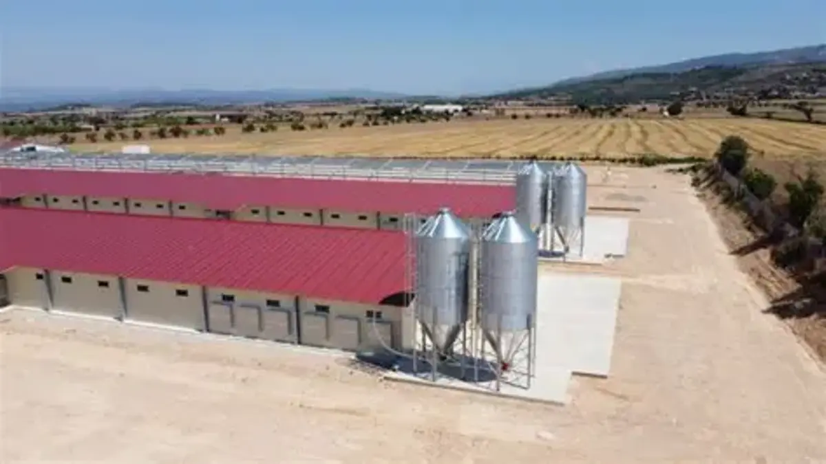 Semarnat niega a Ogmex instalación de complejos avícolas en Puebla, pero empresa insiste  