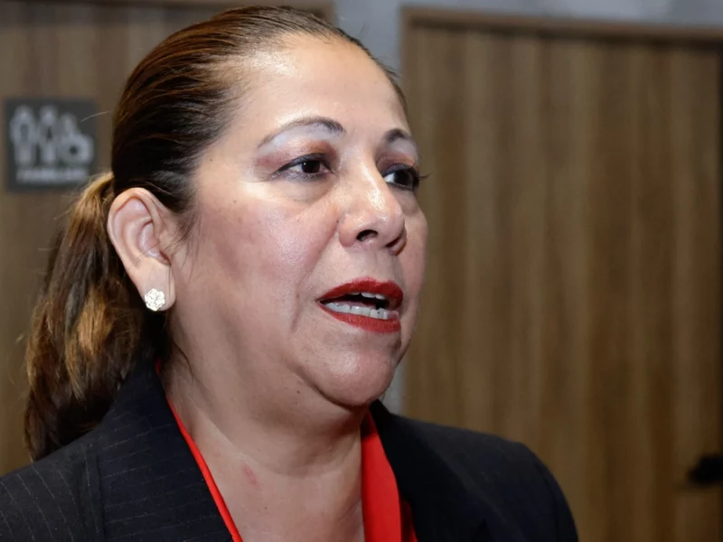 El artículo ciberasedio podría ser modificado antes de que termine el Periodo Ordinario: Artemisa