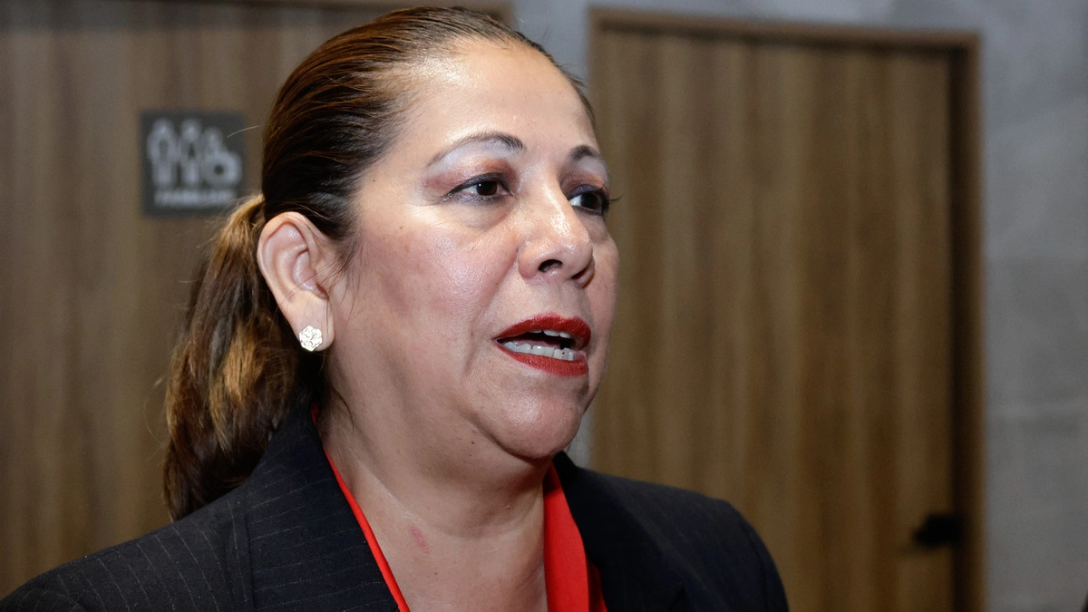 El artículo ciberasedio podría ser modificado antes de que termine el Periodo Ordinario: Artemisa