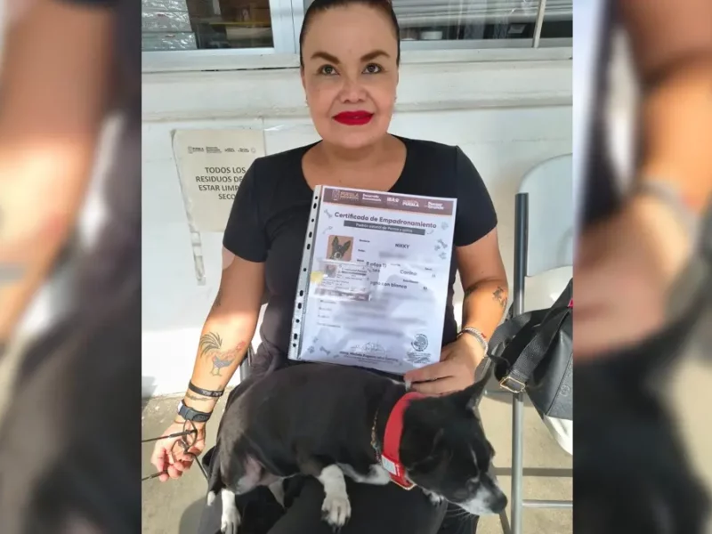 ¿Es obligatorio el registro de tu mascota en el Padrón de Perros y Gatos de Puebla?