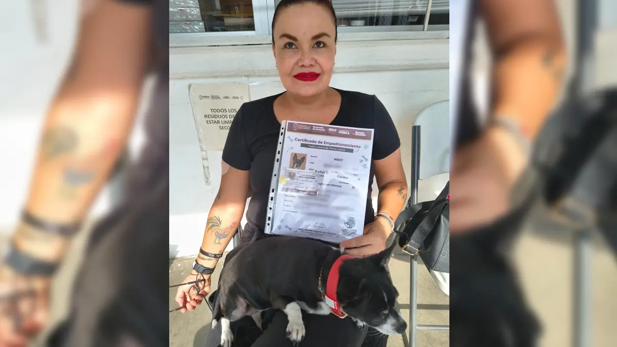 ¿Es obligatorio el registro de tu mascota en el Padrón de Perros y Gatos de Puebla?