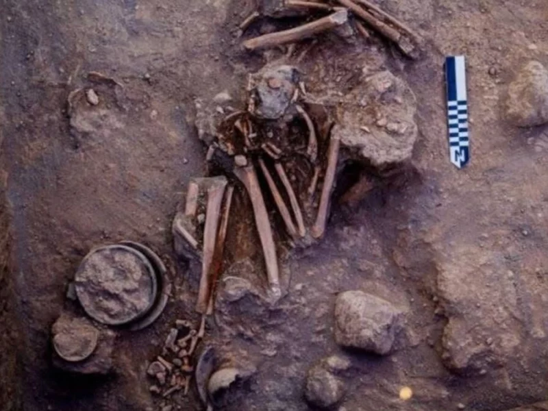Hallan osamentas humanas de más de 800 años de antigüedad en Izúcar de Matamoros