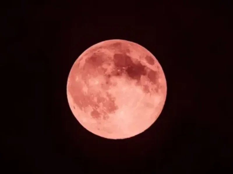 ¿Cuándo y cómo podrás ver la Luna de Fresa 2025?  